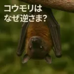 こうもりは何故さかさま？