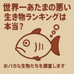 生き物ランキングは本当？