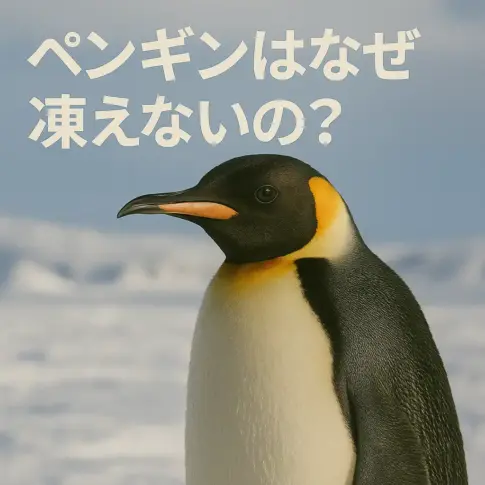 ペンギンはなぜ凍えない